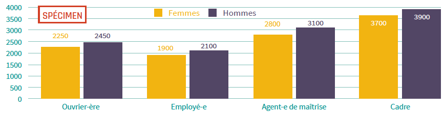Rémunération moyenne par catégories professionnelles (en €)